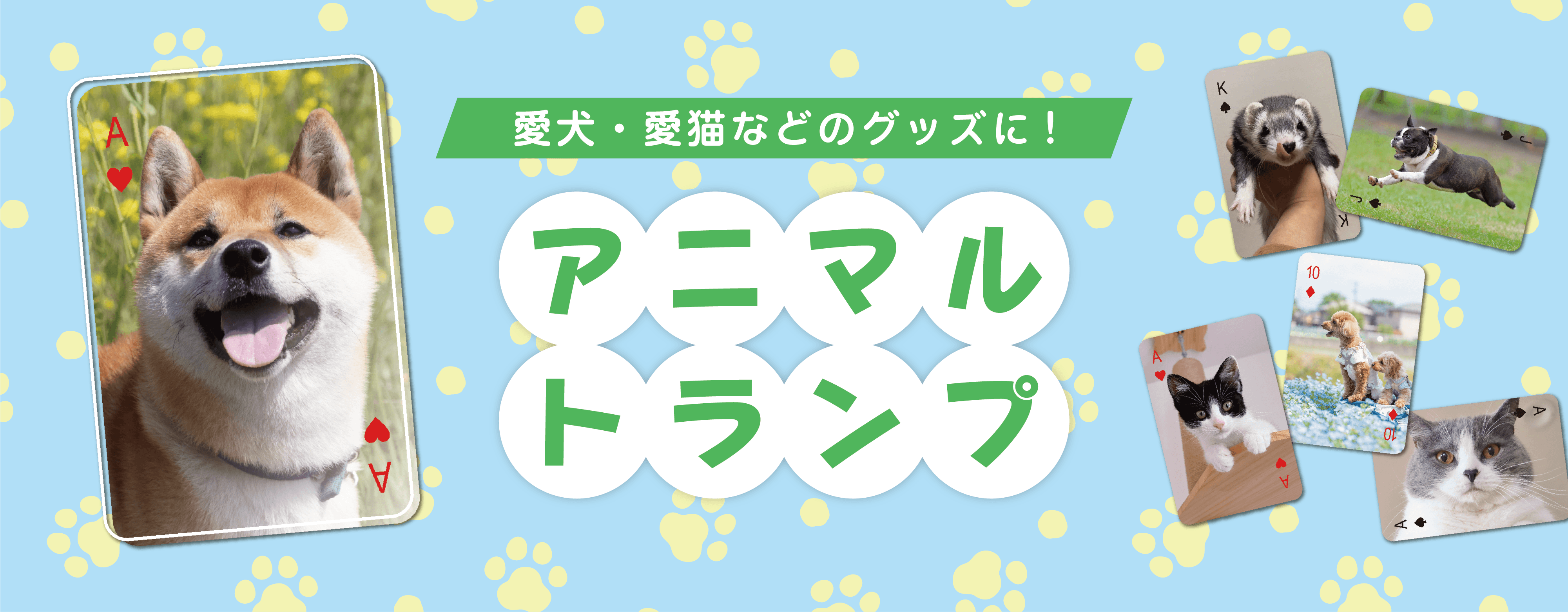 ペットの写真でトランプ